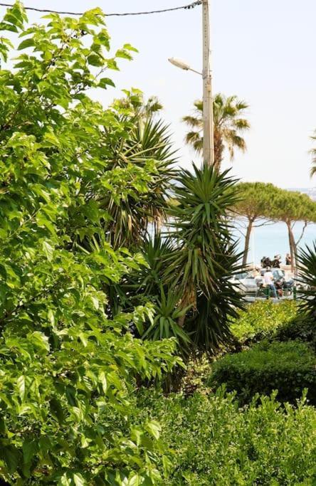 Blue Summer Vibes Duplex Studio For 4P, Ac, Sea View, Parking, Beach At 50M, Spa Access -3 La Ciotat Dış mekan fotoğraf